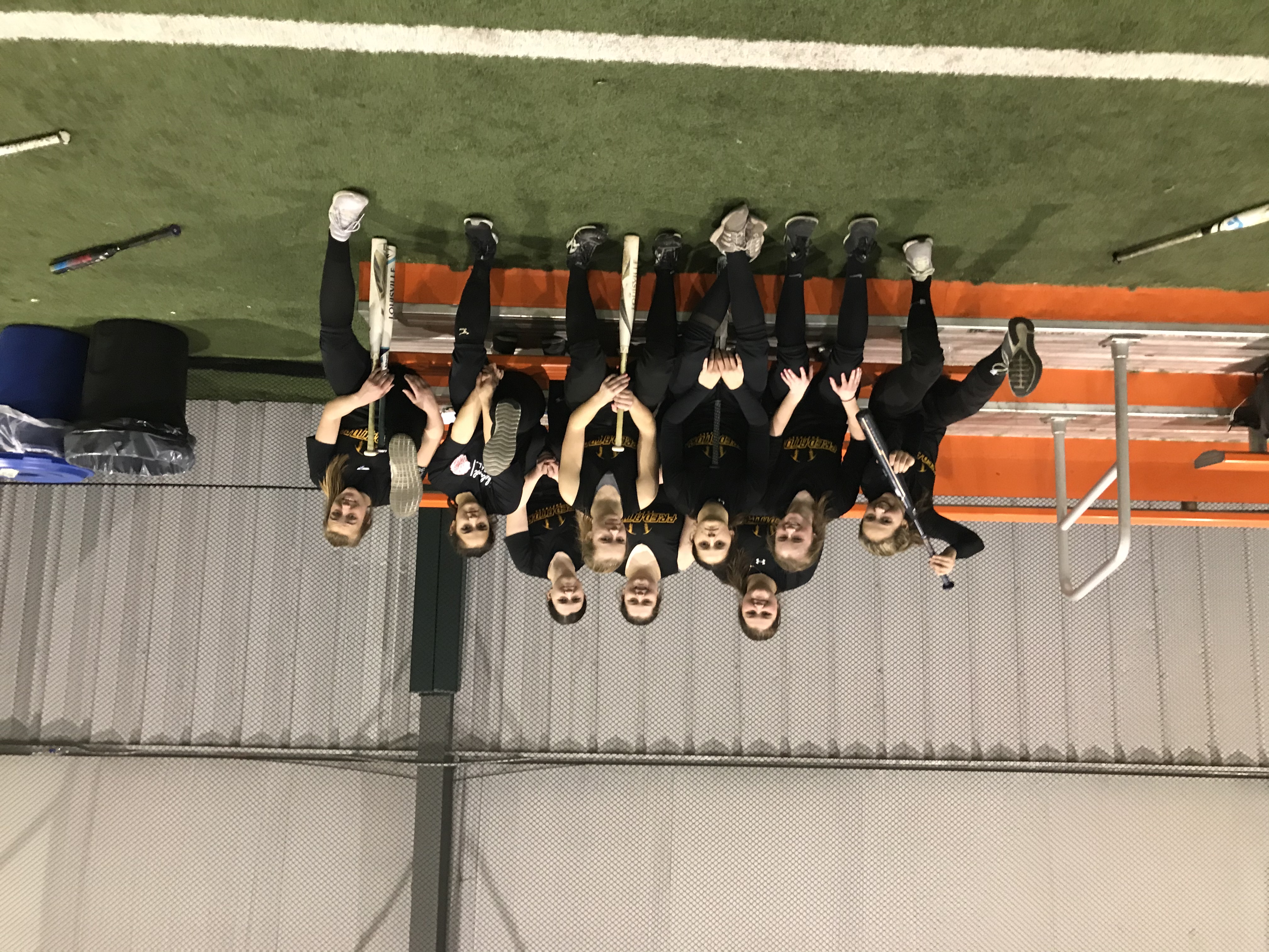Predators 18 u gold