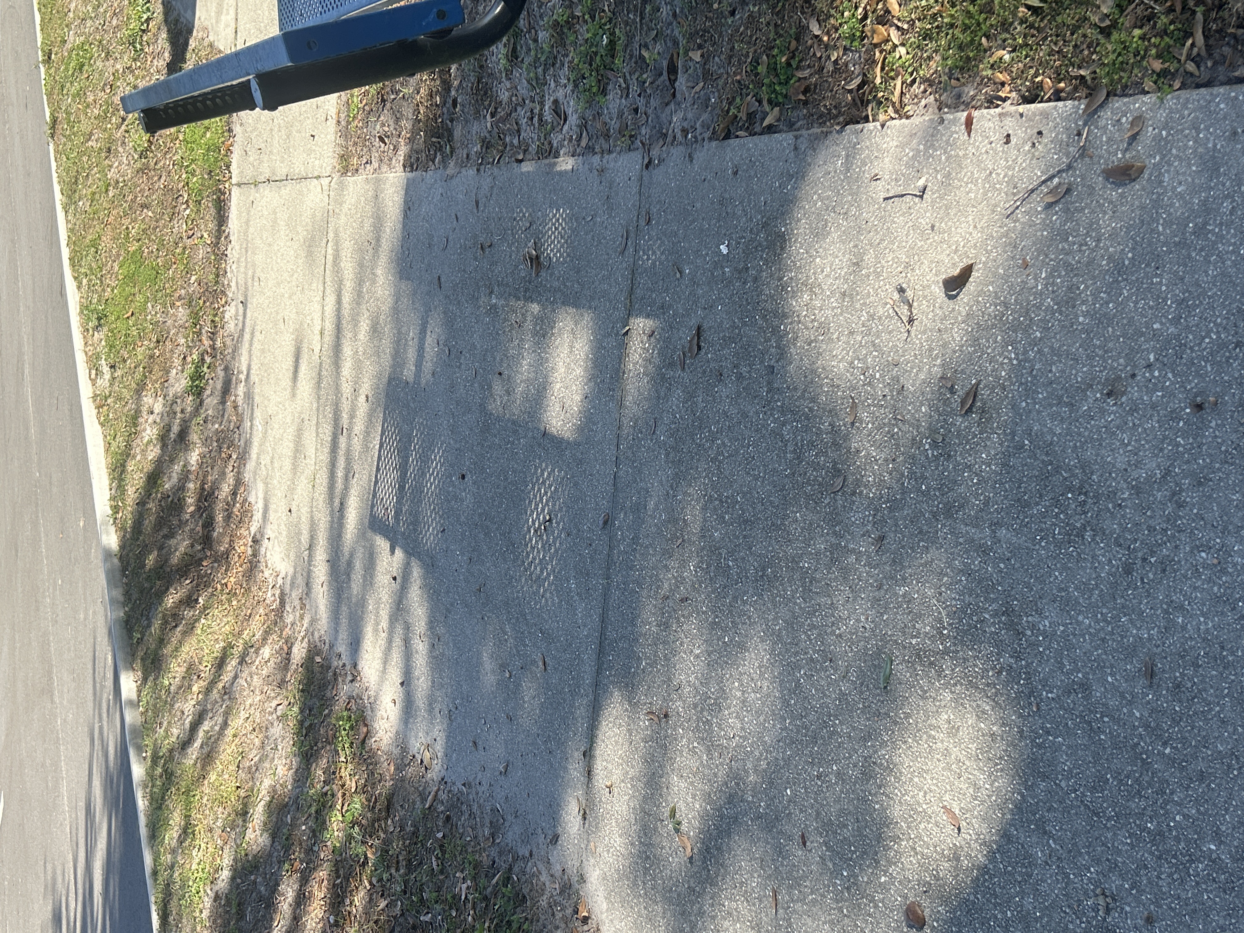 Lions park gap image