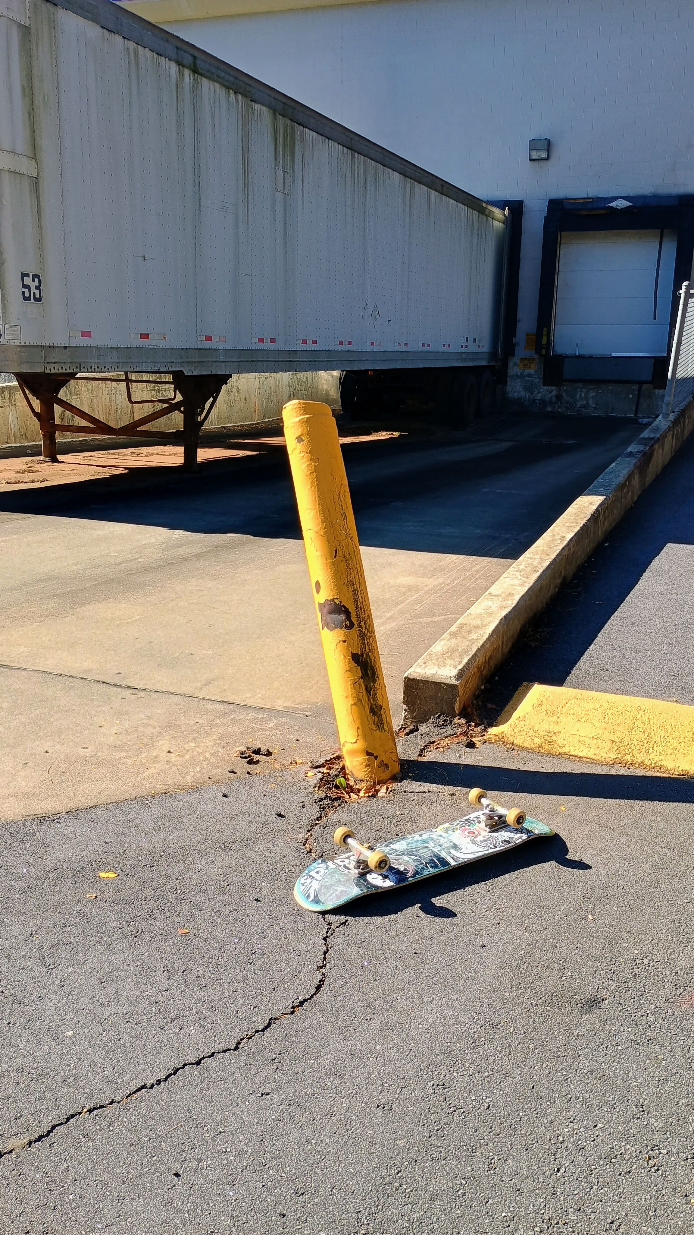 PetSmart pole jam  image