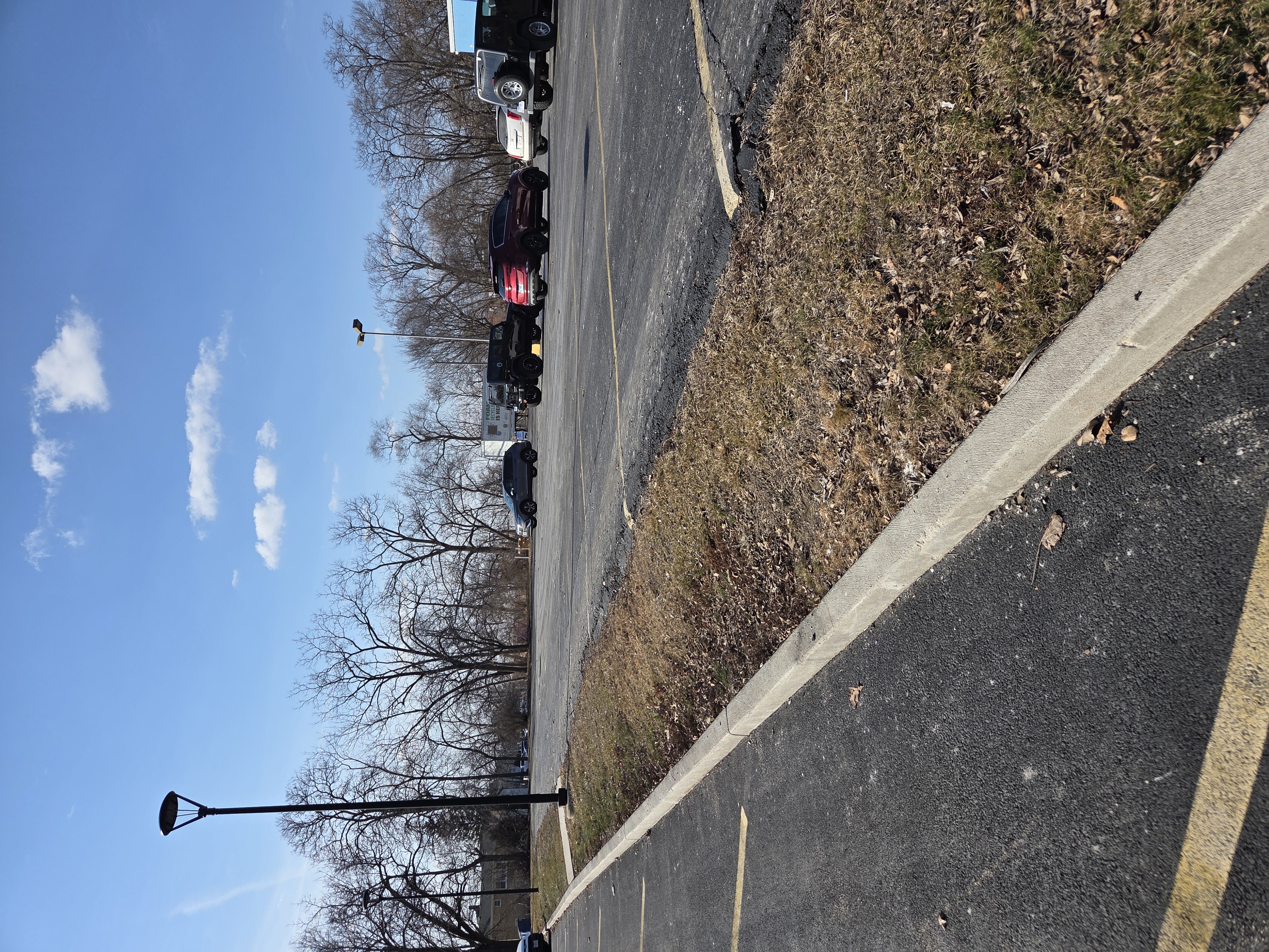 Lions Park Lot Gap image