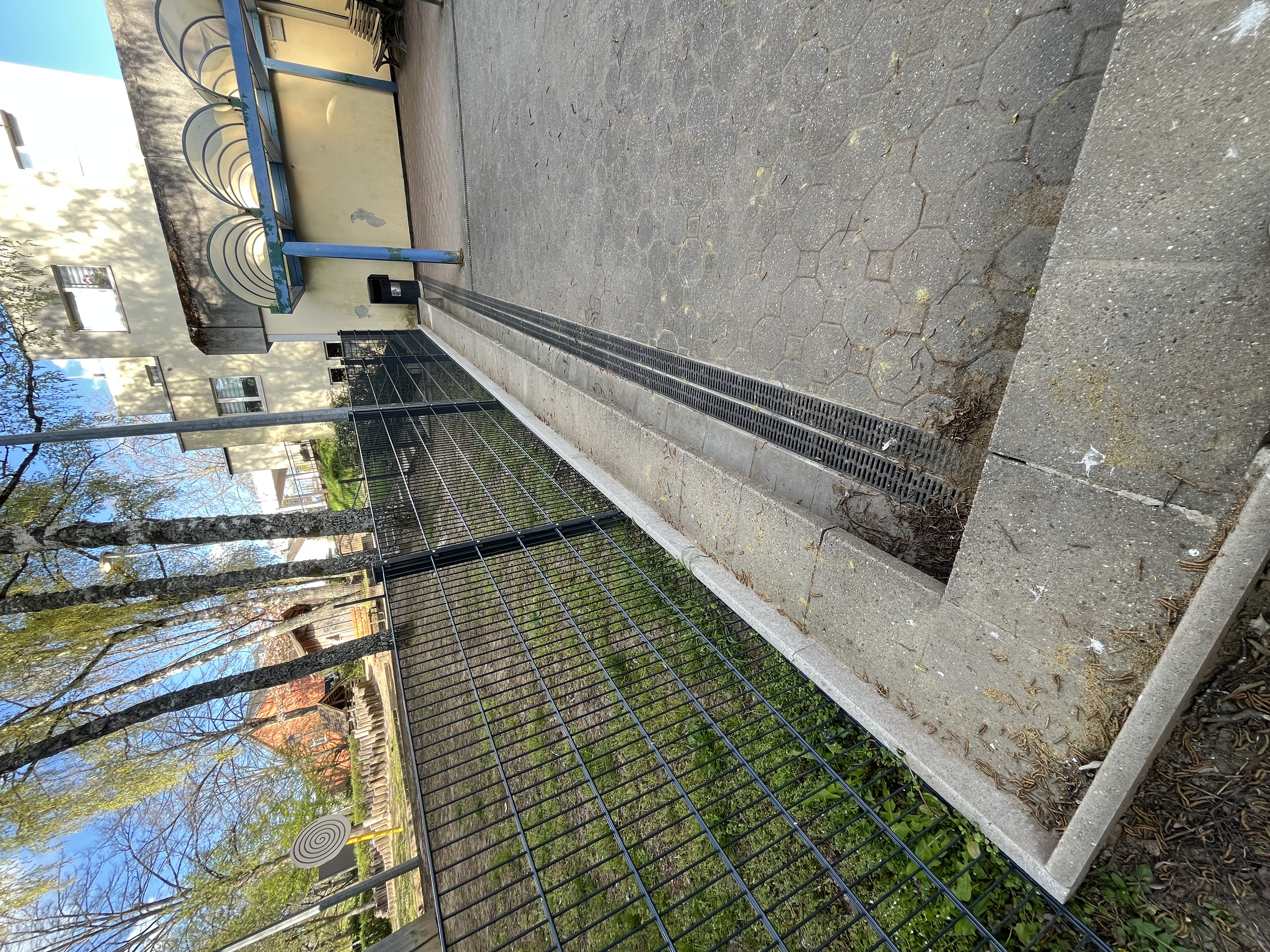 Eis Schoul Ledge image