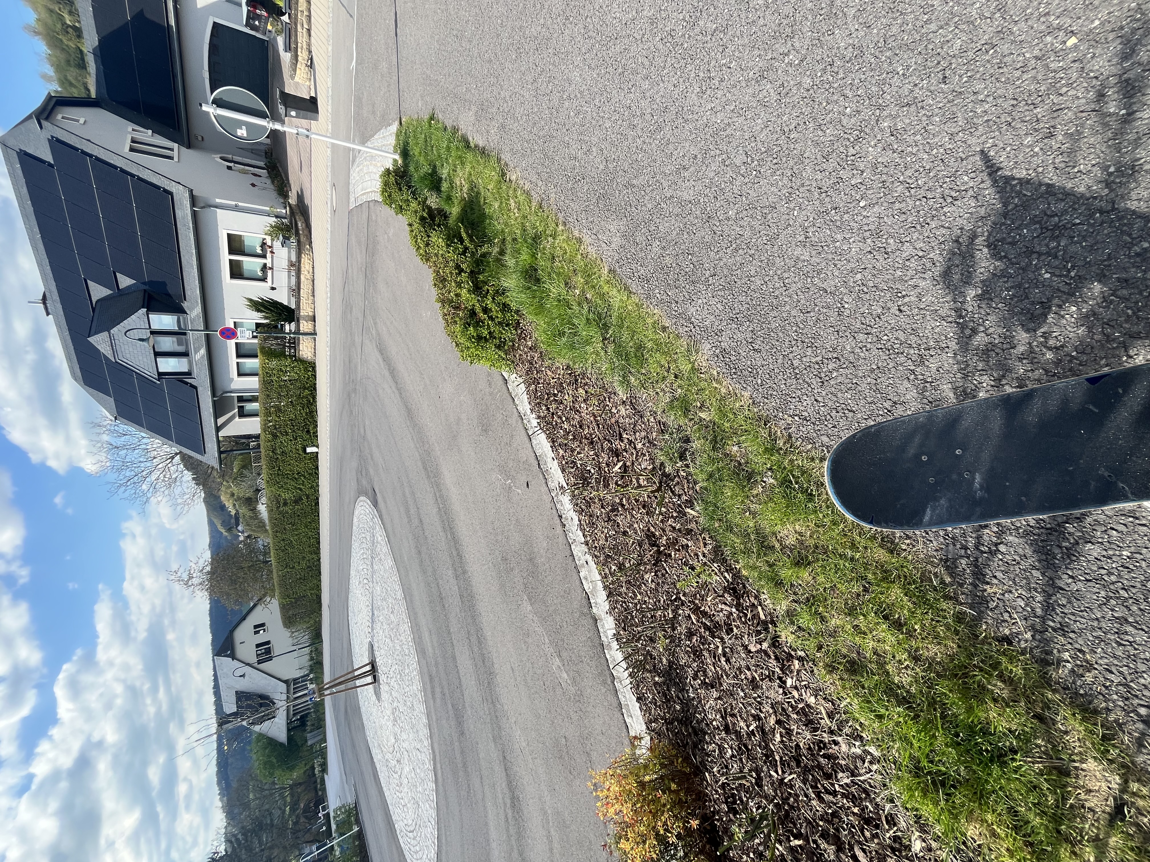 Glasener Gras gap image