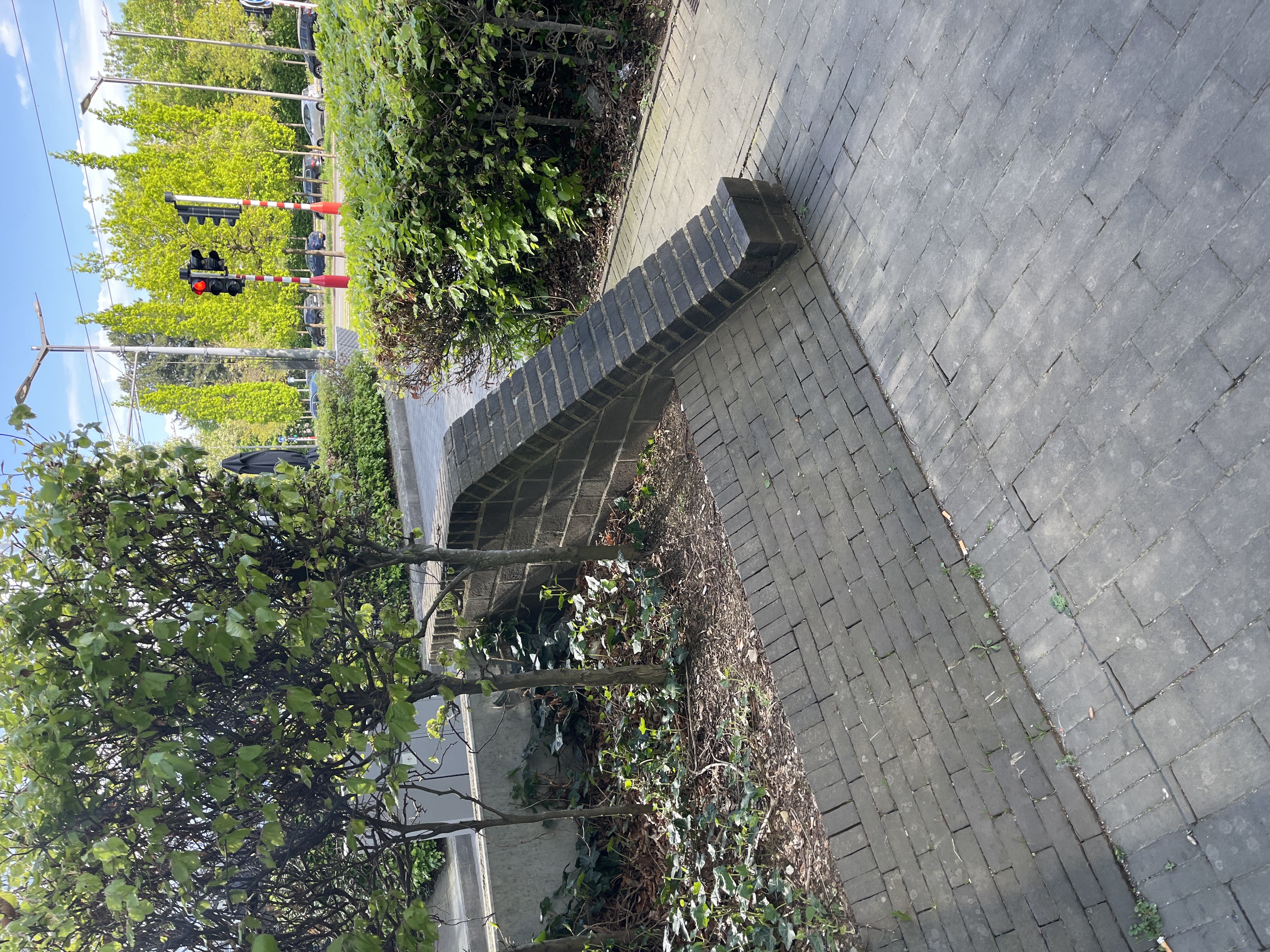 Medic curb image