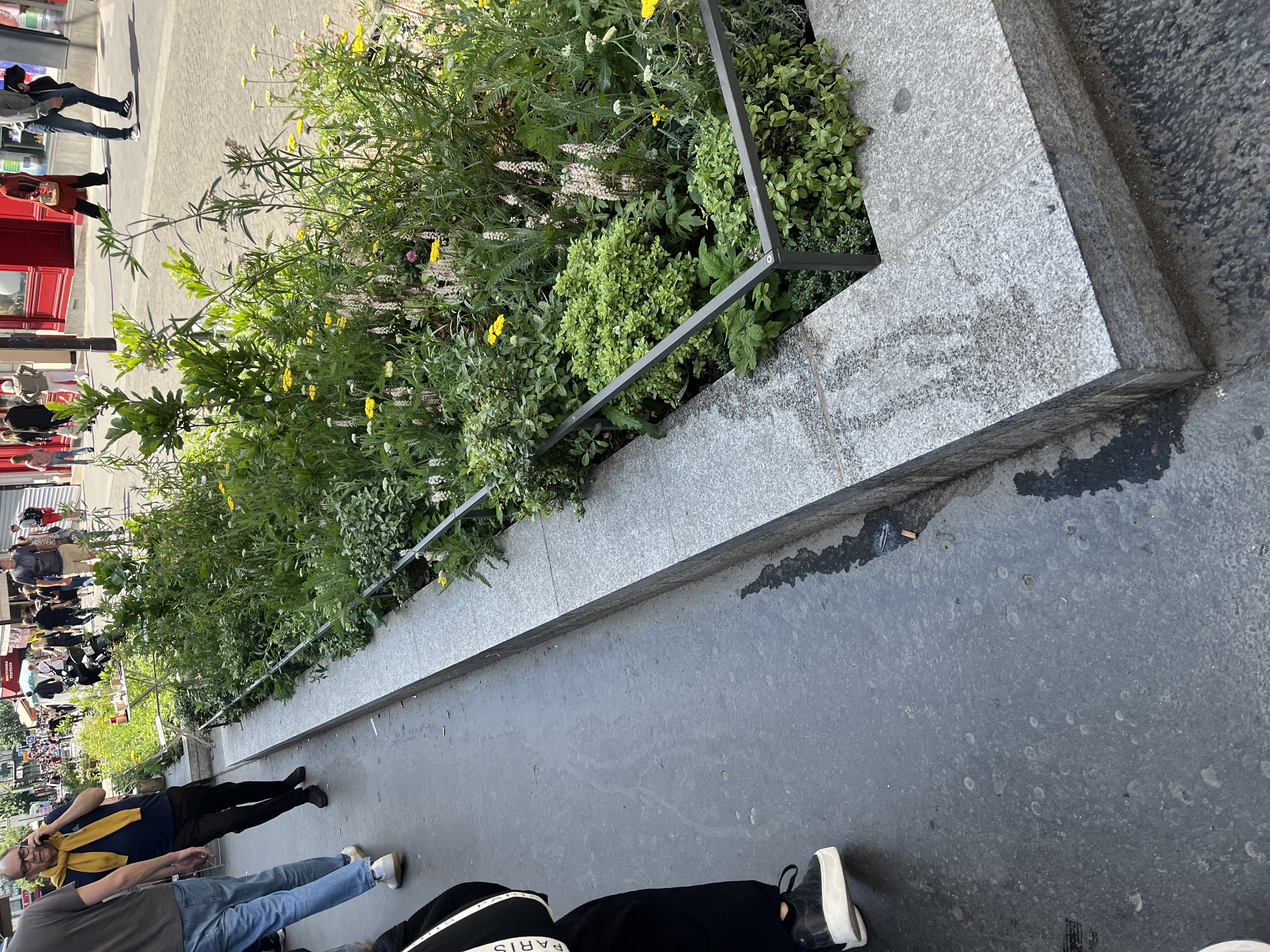 Traiteur ledge image