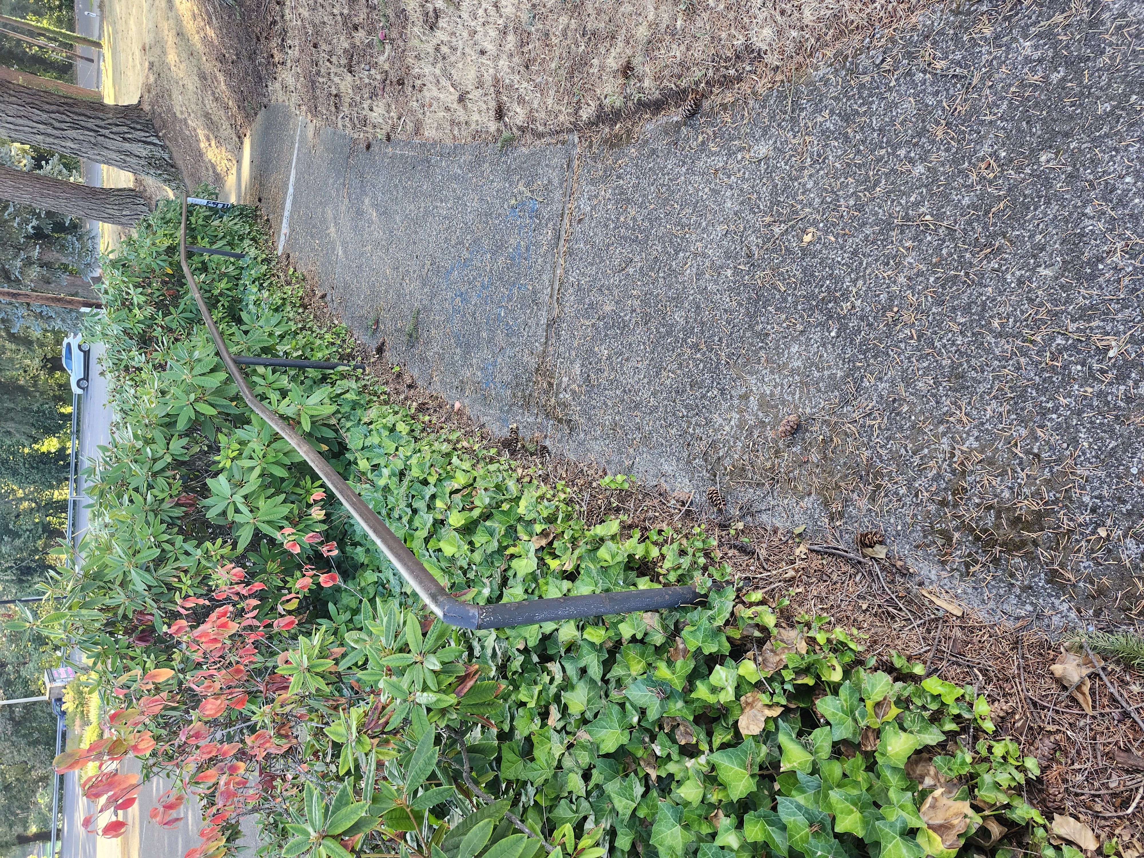 Small Handicap rail  image