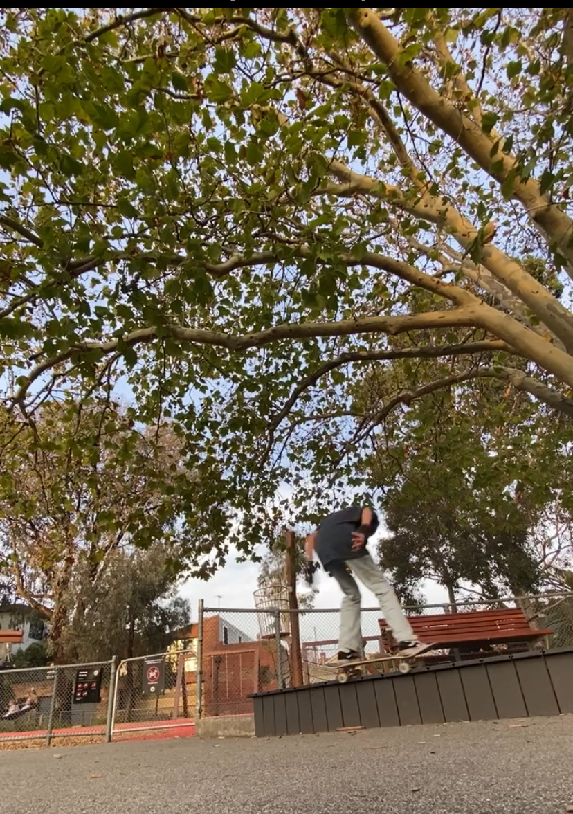 Hewison reserve ledge image