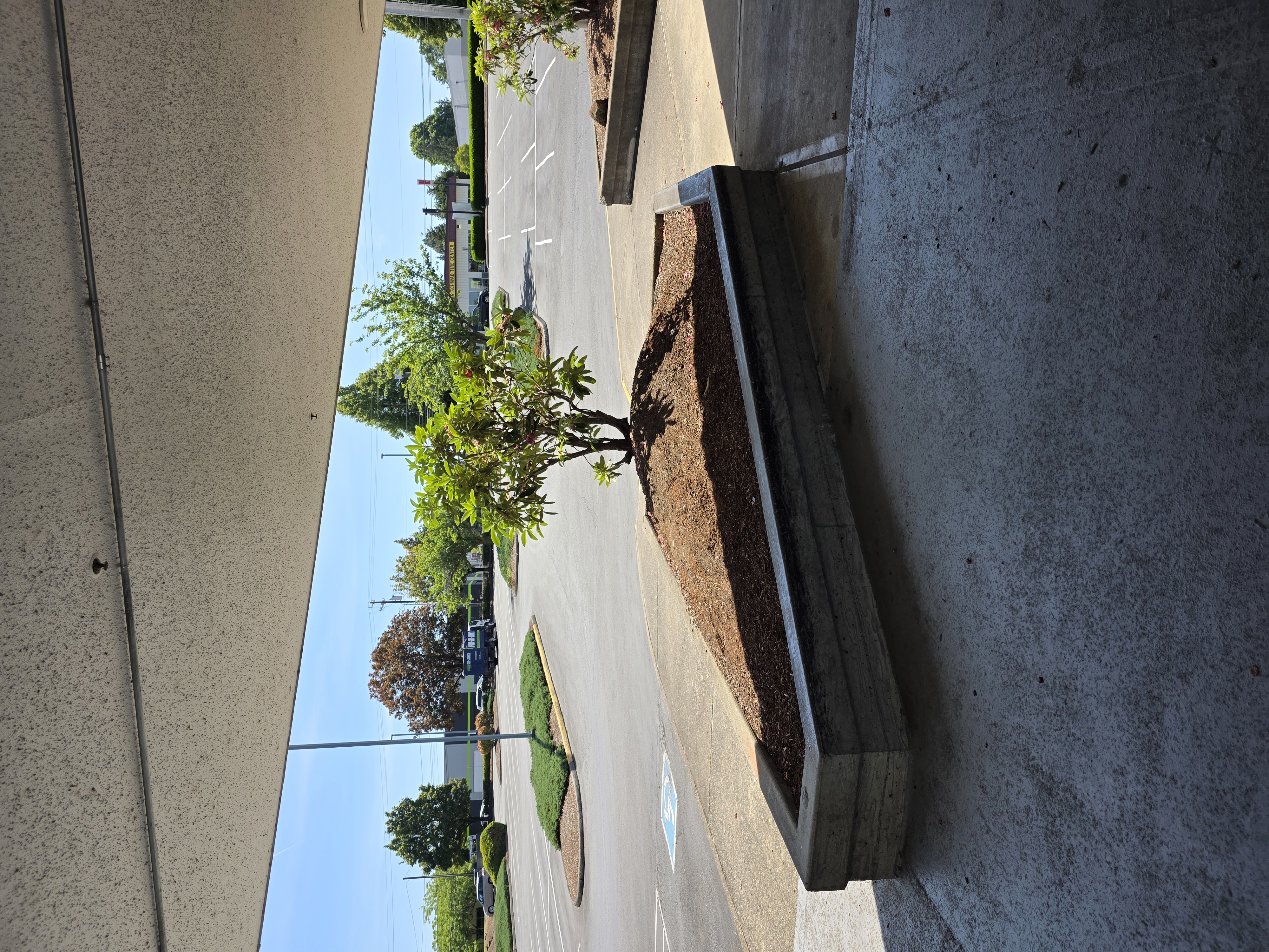 Teriyaki plaza image