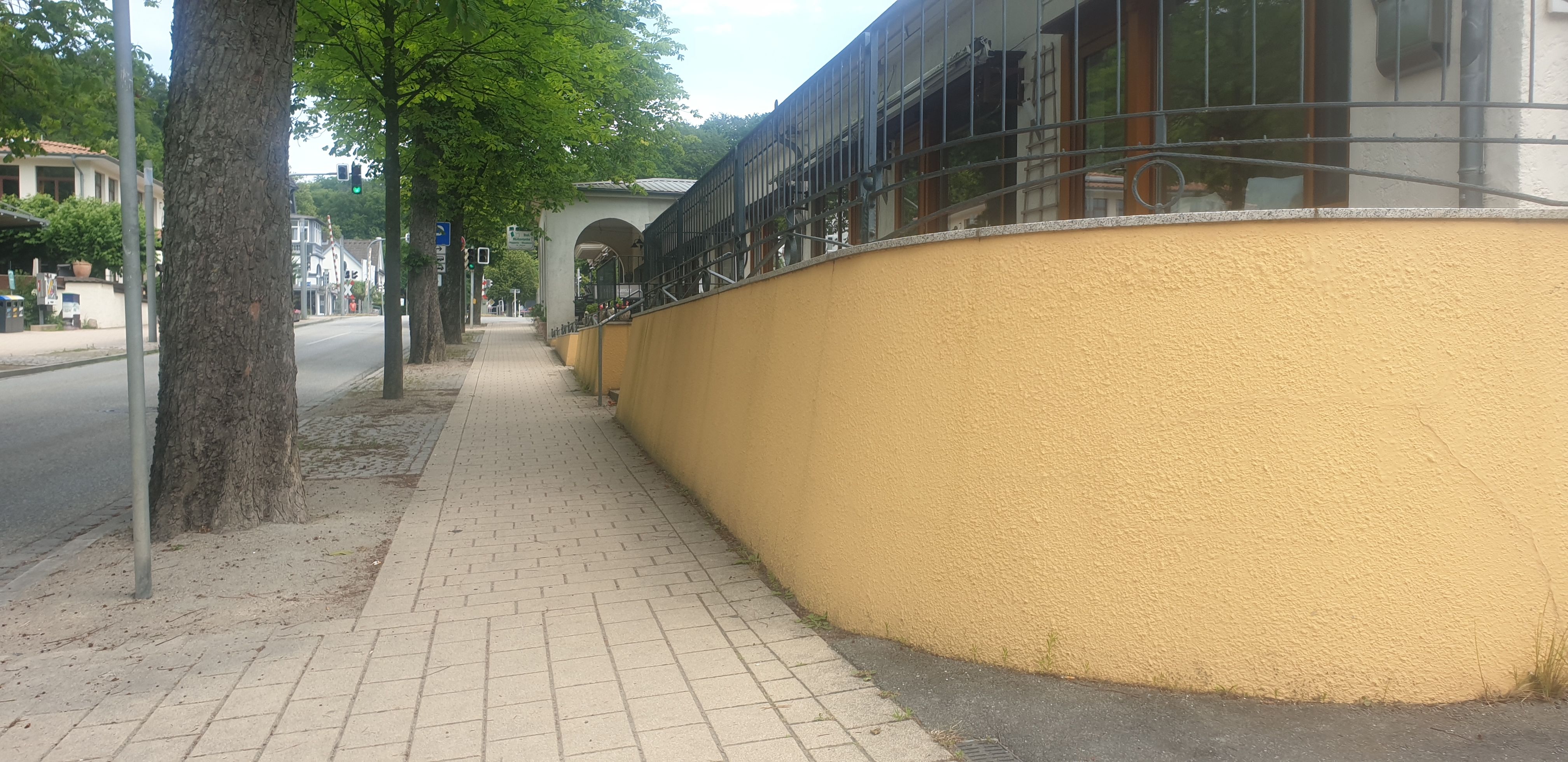 Gelbe Wallrides image