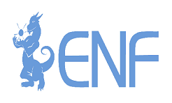 Media Partner