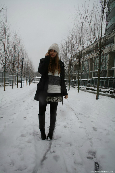 When it Snows, winter, snow, leopard, stripes