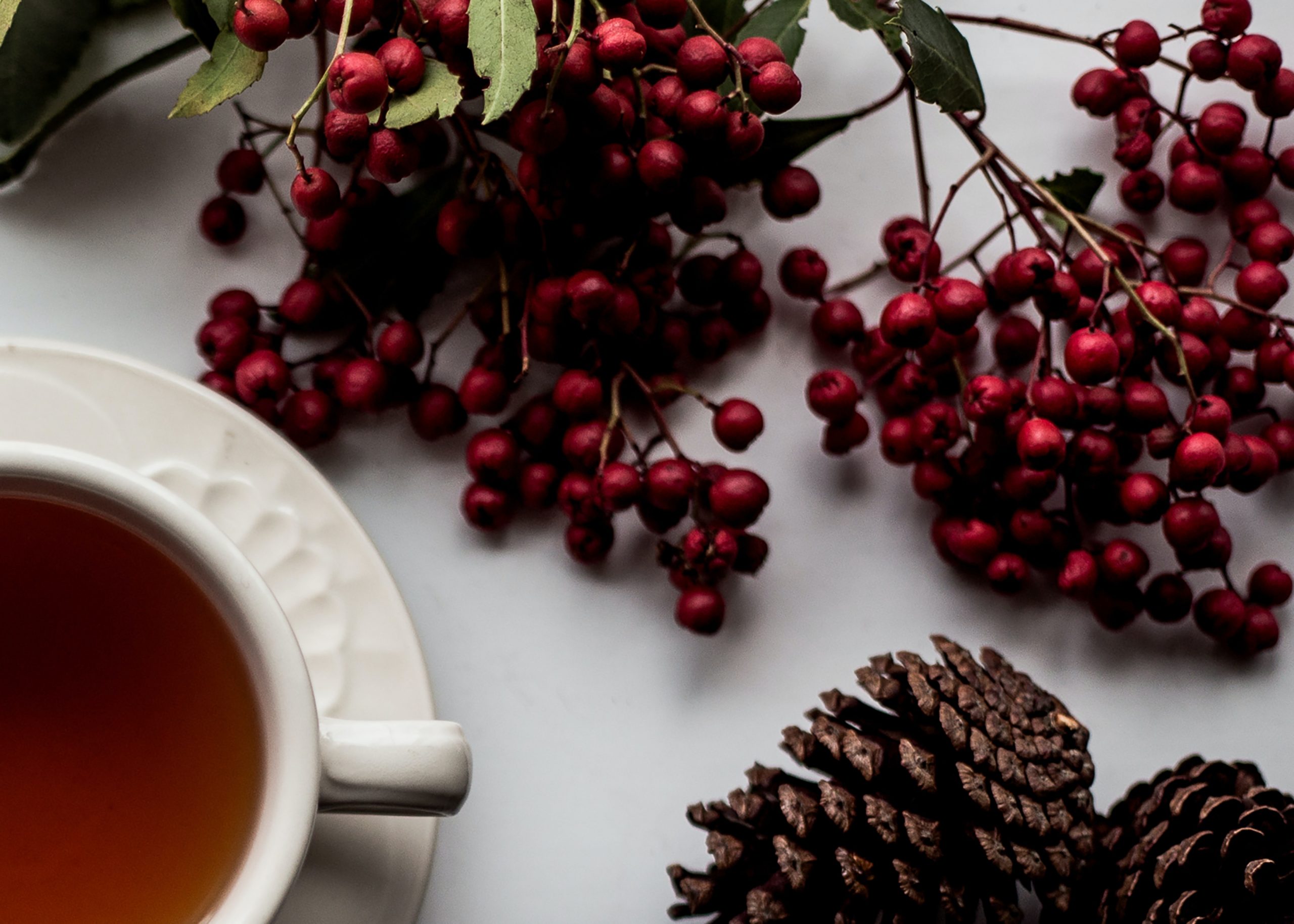 Holiday Blog Header Photo