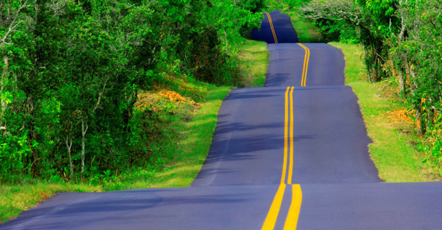 50 Year Journey With Diabetes | The LOOP Blog