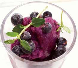 Blueberry Sorbet