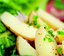Lunch Salad Triad
