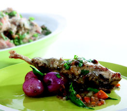 Fricot au Lapin des Bois (Braised Wild Rabbit Hot Pot)