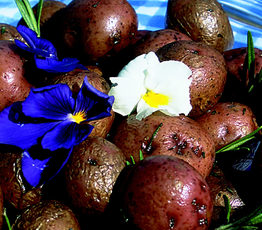 Roasted Rosemary Potatoes
