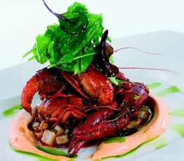 Langousines Simply Roasted with Espelette Chili, Tomatoes and Currened Fennel with Basil, Tomato Sabayon, Accompanied by a Small Salad