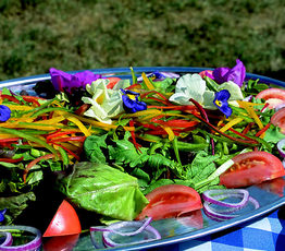 Mixed Leaf Salad with Flavoured Vinaigrette