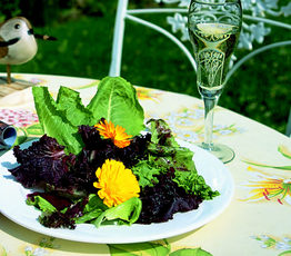 Assorted Greens with Blueberry Viaigrette