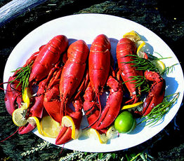 Boiled Atlantic Lobster with Lemon Wedges