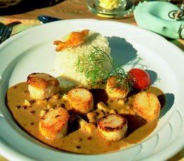 Sea Scallops with Curry Sauce