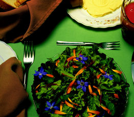 Five Lettuce and Edible Flowers Salad with Black Currant Vinaigrette