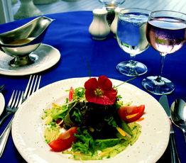 Mixed Green Salad with Scented Maple Walnut Vinaigrette