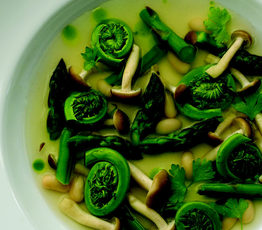 Asparagus, Fiddlehead and White Bean Soup