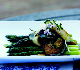 Roasted Shiitake Mushroom Salad with Charred Onions and Asparagus and Basil Anchoiade