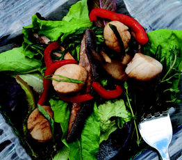 Warm Scallop and Portabello Mushroom Salad