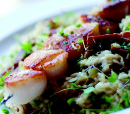 Caramelized Sea Scallops with Westphalian Ham, Swiss Chard, Lovage and Lemon Risotto