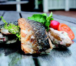 Sauteed Mackerel with Fingerling Potato, Arugula and Bacon Remoulade