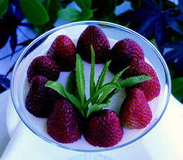 Creamy Lemon Delight with Cointreau-Marinated Strawberries