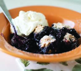 Blueberry Grunt
