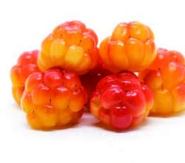 Bakeapple Jam