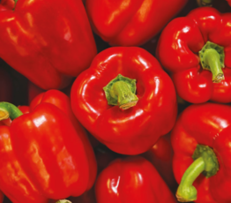 Tasty Sour Pepper Pickles