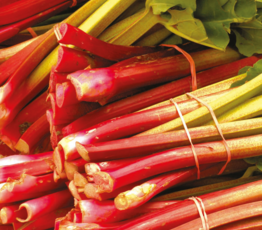 Rhubarb Relish with Black Pepper and Spices