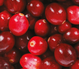 Cranberry and Apple No-Cook Relish