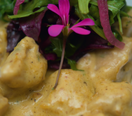 Crab Dumplings
