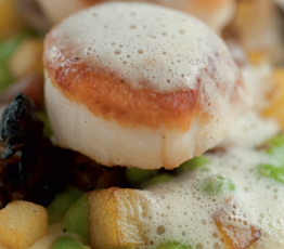 Scallops with Fava Bean Puree