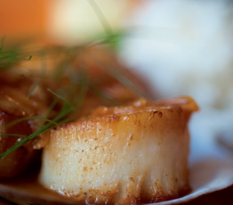 Scallops with Orange Sesame Ginger Drizzle