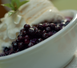 Nova Scotia Blueberry Grunt