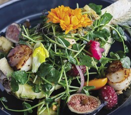 Sugar-Brined Sea Scallops