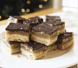 Yuletide Turtle Squares