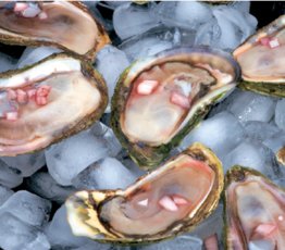 Oyster Mignonette