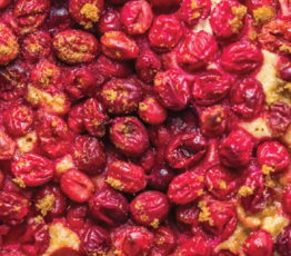 Cranberry Pudding