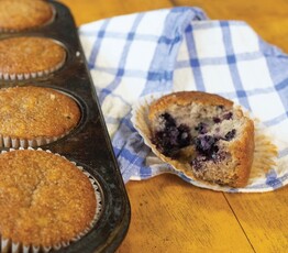 Blueberry Muffins