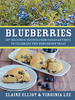 Blueberry Lassi