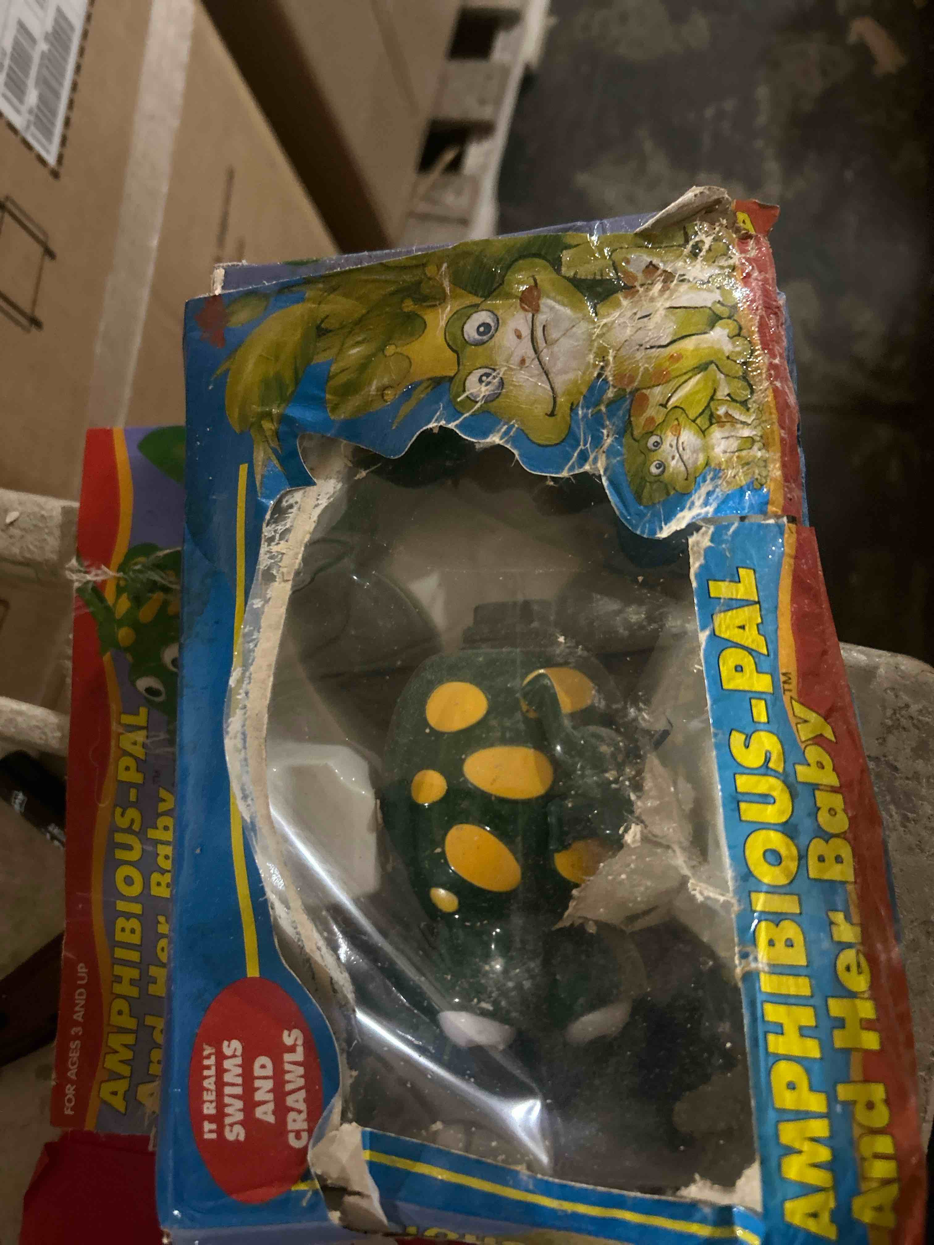 amphibious m-pad and her baby