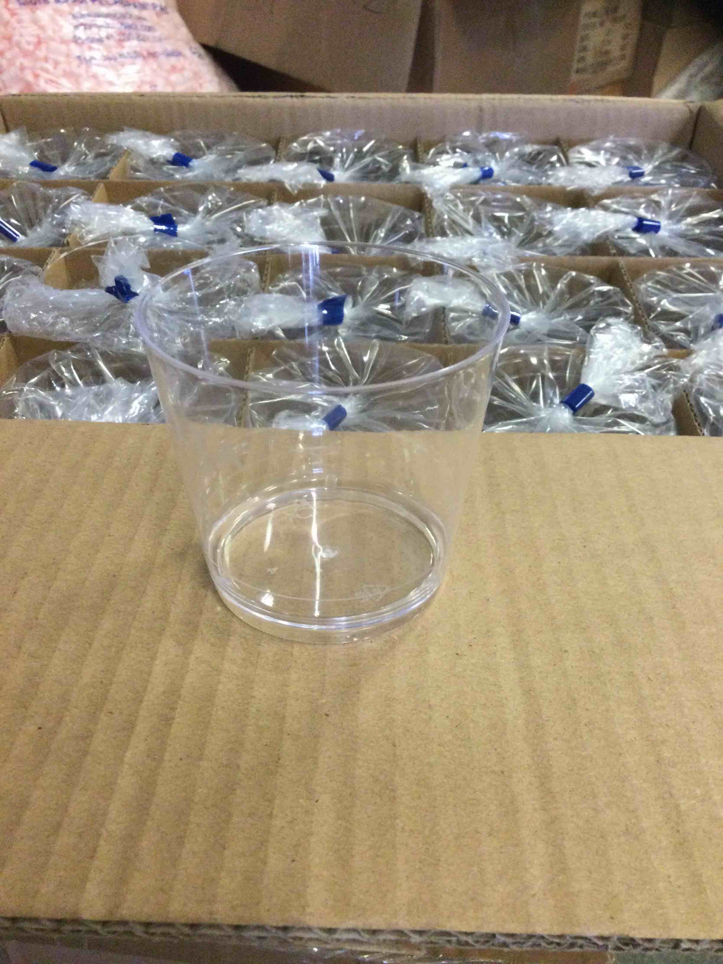 5oz  translucent cups